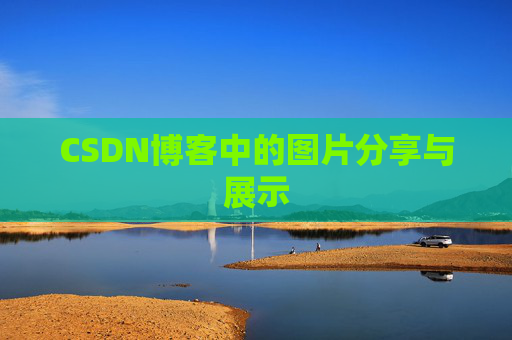 CSDN博客中的图片分享与展示